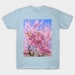 Beautiful pink flowers T-Shirt